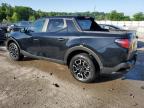 2023 Hyundai Santa Cruz Sel na sprzedaż w Louisville, KY - Hail