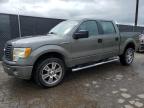 Woodhaven, MI에서 판매 중인 2014 Ford F150 Supercrew - Minor Dent/Scratches