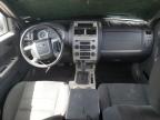 2010 Ford Escape Xlt zu verkaufen in Las Vegas, NV - Front End