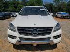 2015 Mercedes-Benz Ml 350 იყიდება Eight Mile-ში, AL - Rear End