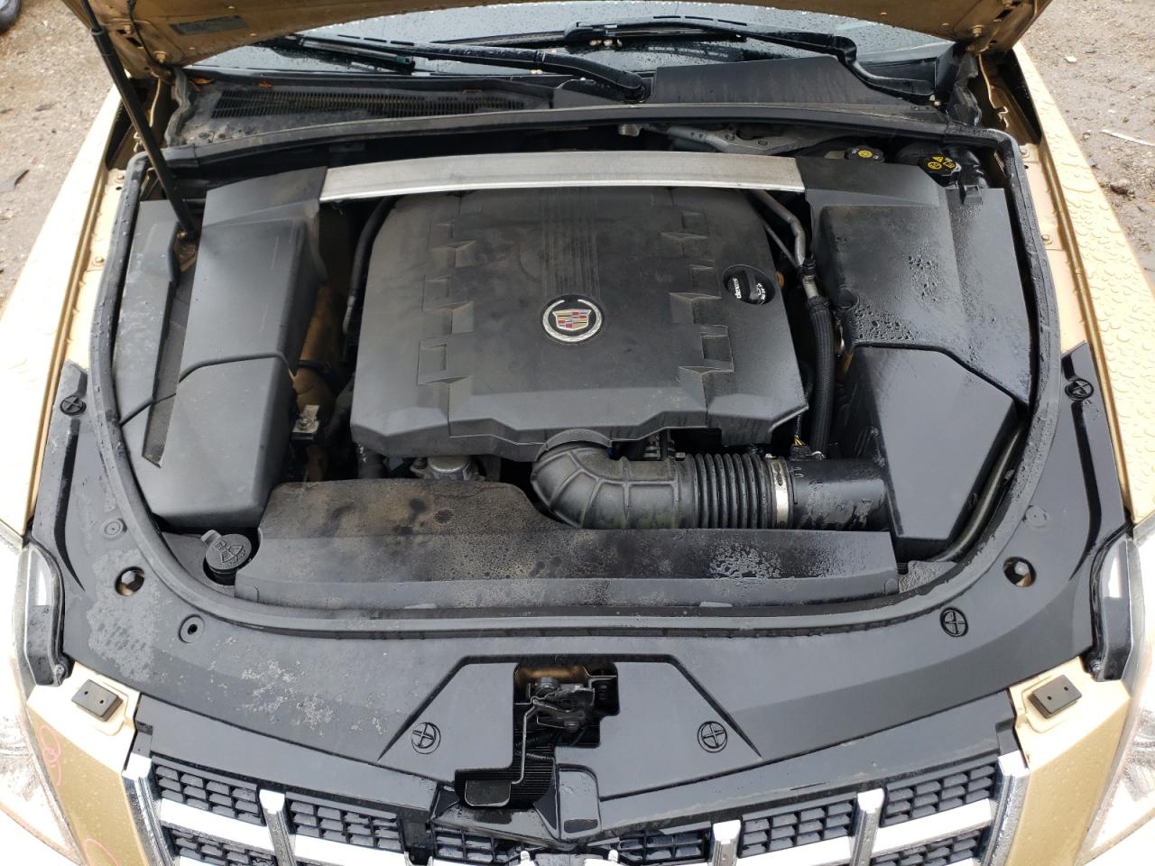 2013 Cadillac Cts Performance Collection VIN: 1G6DJ1E33D0107897 Lot: 57171225