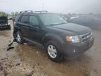 2010 Ford Escape Xlt   for Sale in Elgin, IL - Rear End