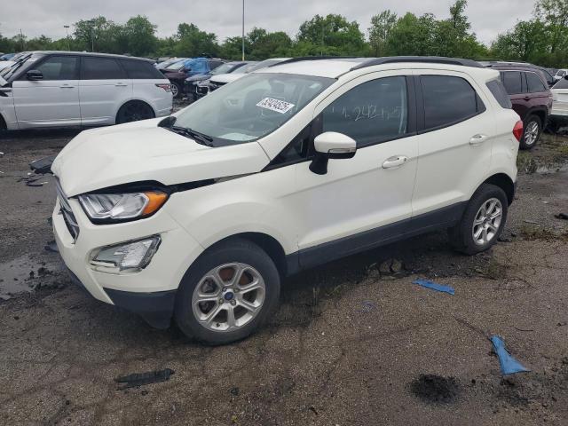  FORD ECOSPORT 2022 Biały