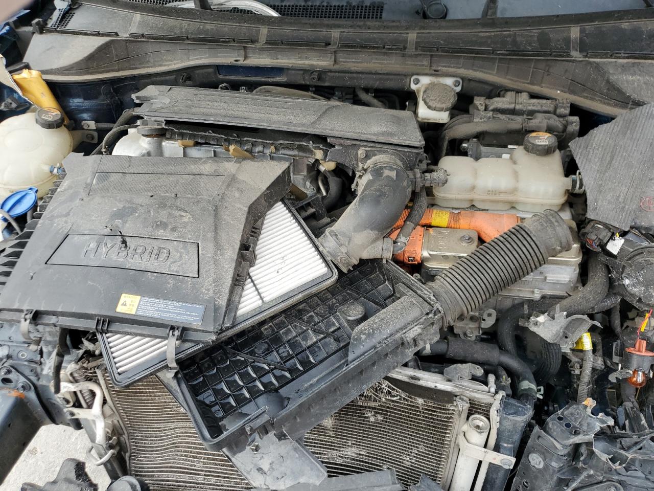 2019 Kia Niro Fe VIN: KNDCB3LC7K5250128 Lot: 56046885