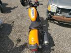 2024 Honda Cmx300  for Sale in Greenwell Springs, LA - All Over