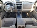 2008 Ford Escape Xlt   продається в Reno, NV - Front End
