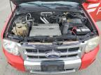 2008 Ford Escape Hev იყიდება Martinez-ში, CA - All Over