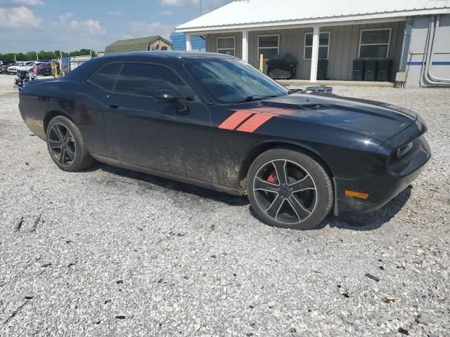 DODGE CHALLENGER 2013 Two tone