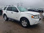 2010 Ford Escape Hybrid for Sale in Elgin, IL - Rear End