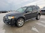 2012 Ford Escape Xlt for Sale in Haslet, TX - Front End