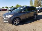 2013 FORD ESCAPE SE à vendre chez Copart ON - LONDON