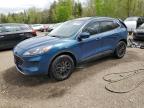 2020 FORD ESCAPE SE   à vendre chez Copart ON - COOKSTOWN