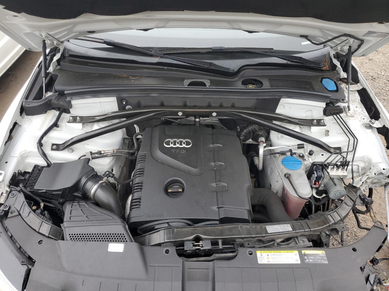2014 Audi Q5 Premium Plus VIN: WA1LFAFP9EA005666 Lot: 56924065