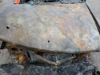 1996 Buick Roadmaster Limited de vânzare în Woodhaven, MI - Burn