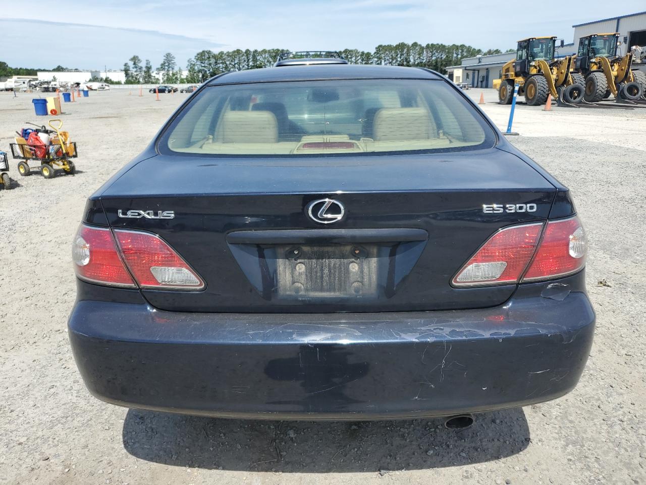 2003 Lexus Es 300 VIN: JTHBF30G836003038 Lot: 57279865