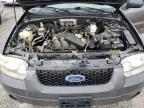 2006 Ford Escape Xlt for Sale in Earlington, KY - Hail