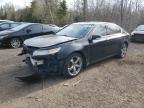 2009 ACURA TL  à vendre chez Copart ON - COOKSTOWN