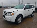 2010 Ford Escape Hybrid for Sale in Elgin, IL - Rear End