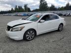 2010 Honda Accord Exl for Sale in Graham, WA - Front End