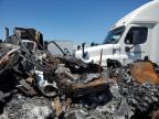 2019 Freightliner Cascadia 126 Semi Truck for Sale in Colton, CA - Burn