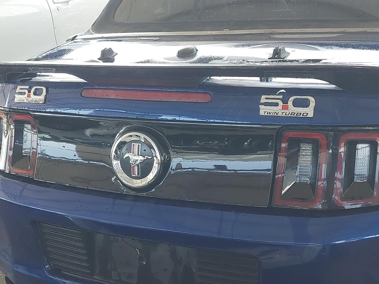 1ZVBP8EM0D5203507 - 2013 Ford MUSTANG - #undefined