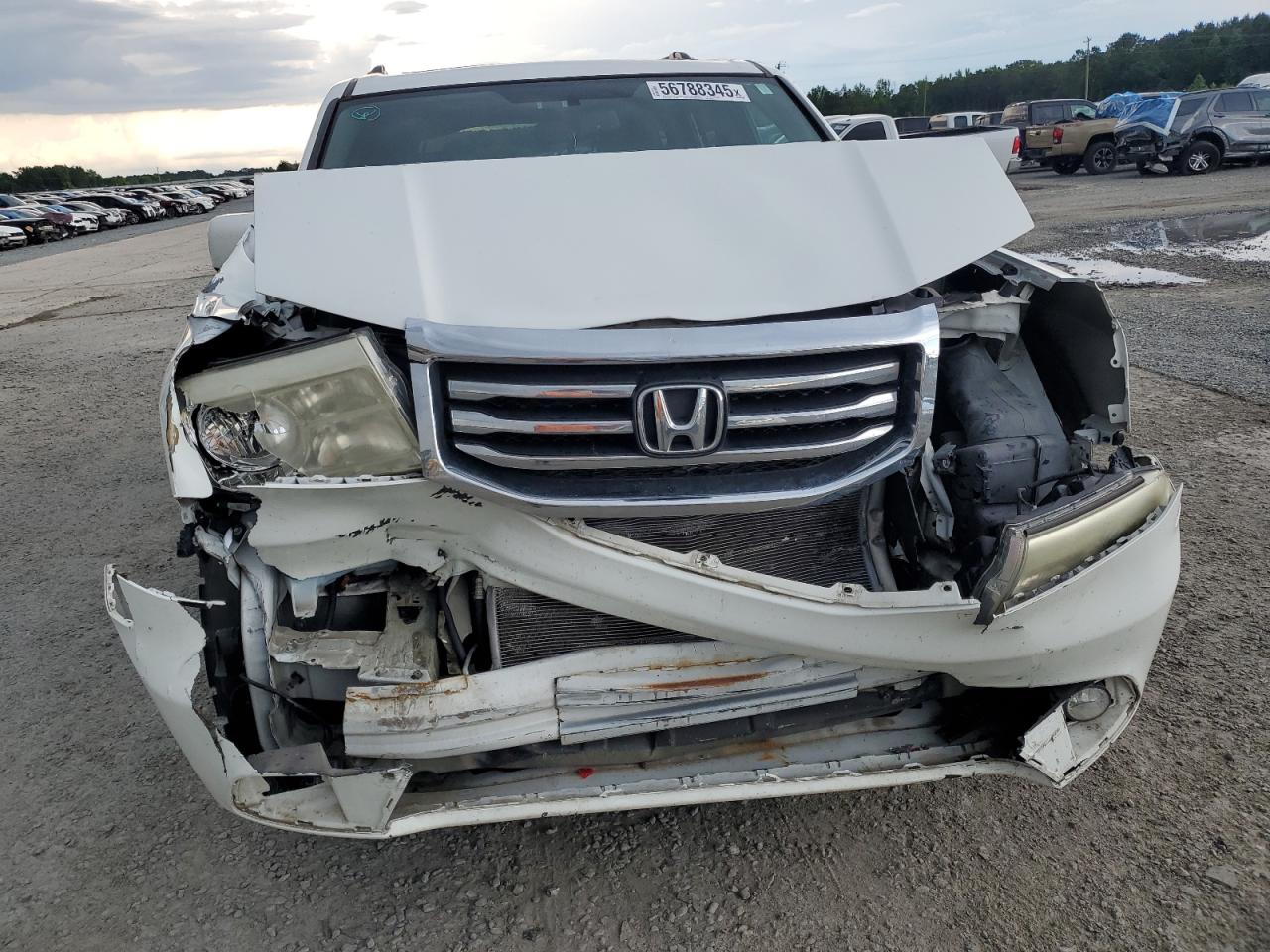 2013 Honda Pilot Exln VIN: 5FNYF3H75DB025729 Lot: 56788345