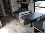2024 Foresriver Puma for Sale in Spartanburg, SC - Top/Roof