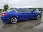 2013 Honda Accord Exl იყიდება Baltimore-ში, MD - Front End