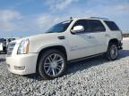 2014 Cadillac Escalade Platinum продається в Arcadia, FL - Rear End
