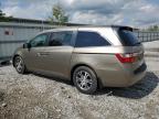 2011 Honda Odyssey Exl for Sale in Walton, KY - Front End