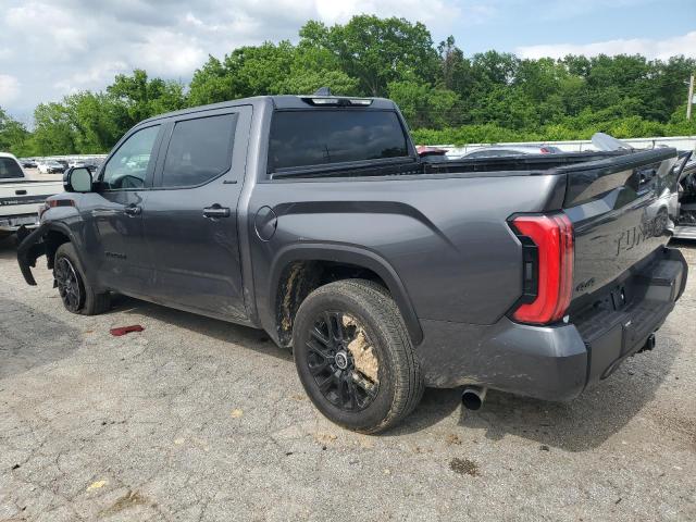  TOYOTA TUNDRA 2024 Szary