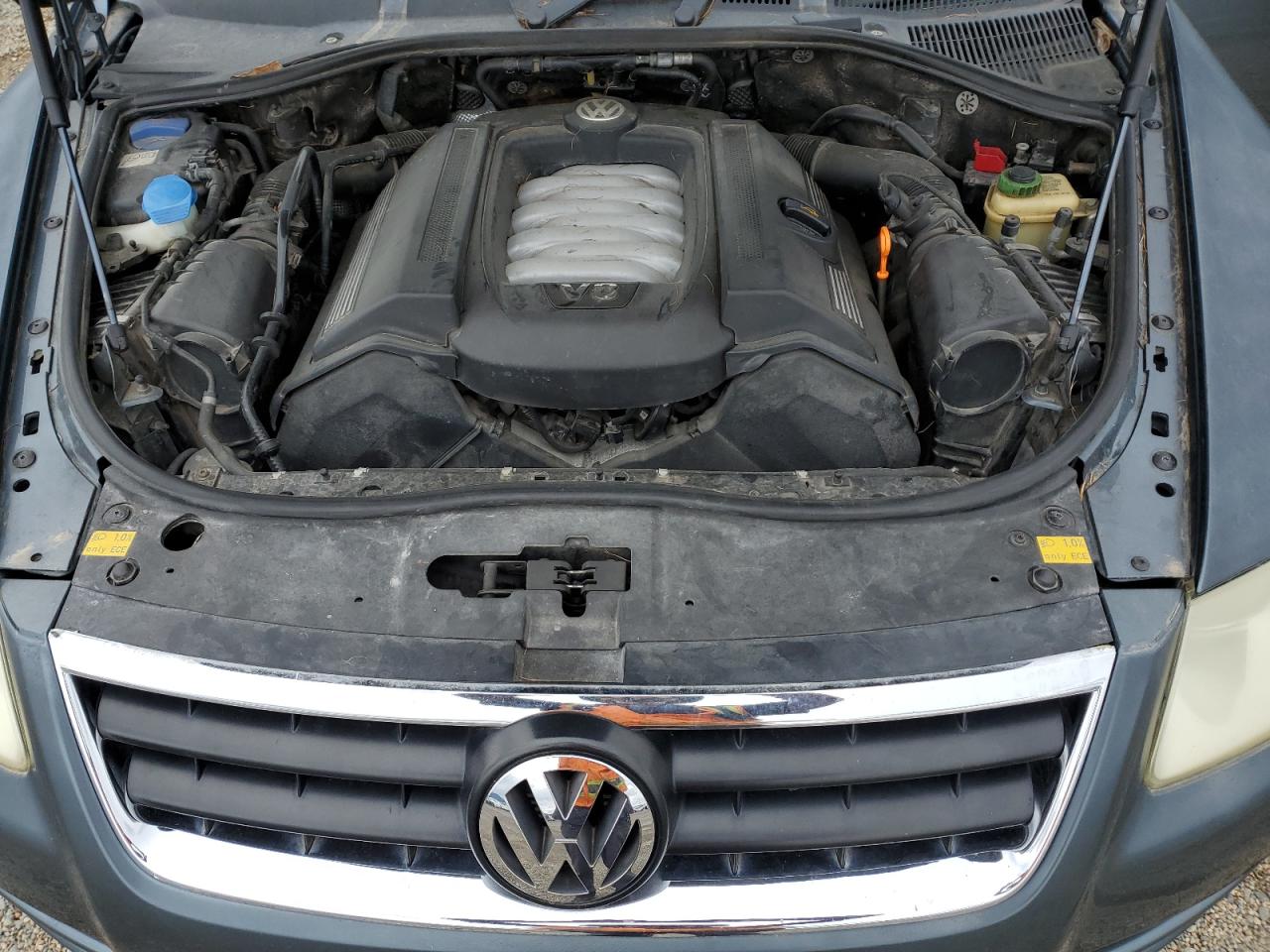2005 Volkswagen Touareg 4.2 VIN: WVGCM77L85D000754 Lot: 56183735
