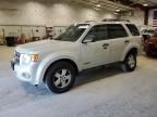 2008 Ford Escape Xlt продається в Milwaukee, WI - Rear End