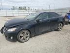 2009 LEXUS IS 250 for sale at Copart AB - EDMONTON