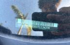 Riverview, FL에서 판매 중인 2007 Nissan Altima 3.5Se - Minor Dent/Scratches