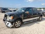Houston, TX에서 판매 중인 2010 Ford F150 Supercrew - Front End