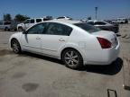 2006 Nissan Maxima Se na sprzedaż w Bakersfield, CA - Minor Dent/Scratches