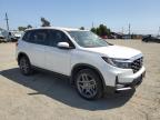 American Canyon, CA에서 판매 중인 2023 Honda Passport Exl - Top/Roof