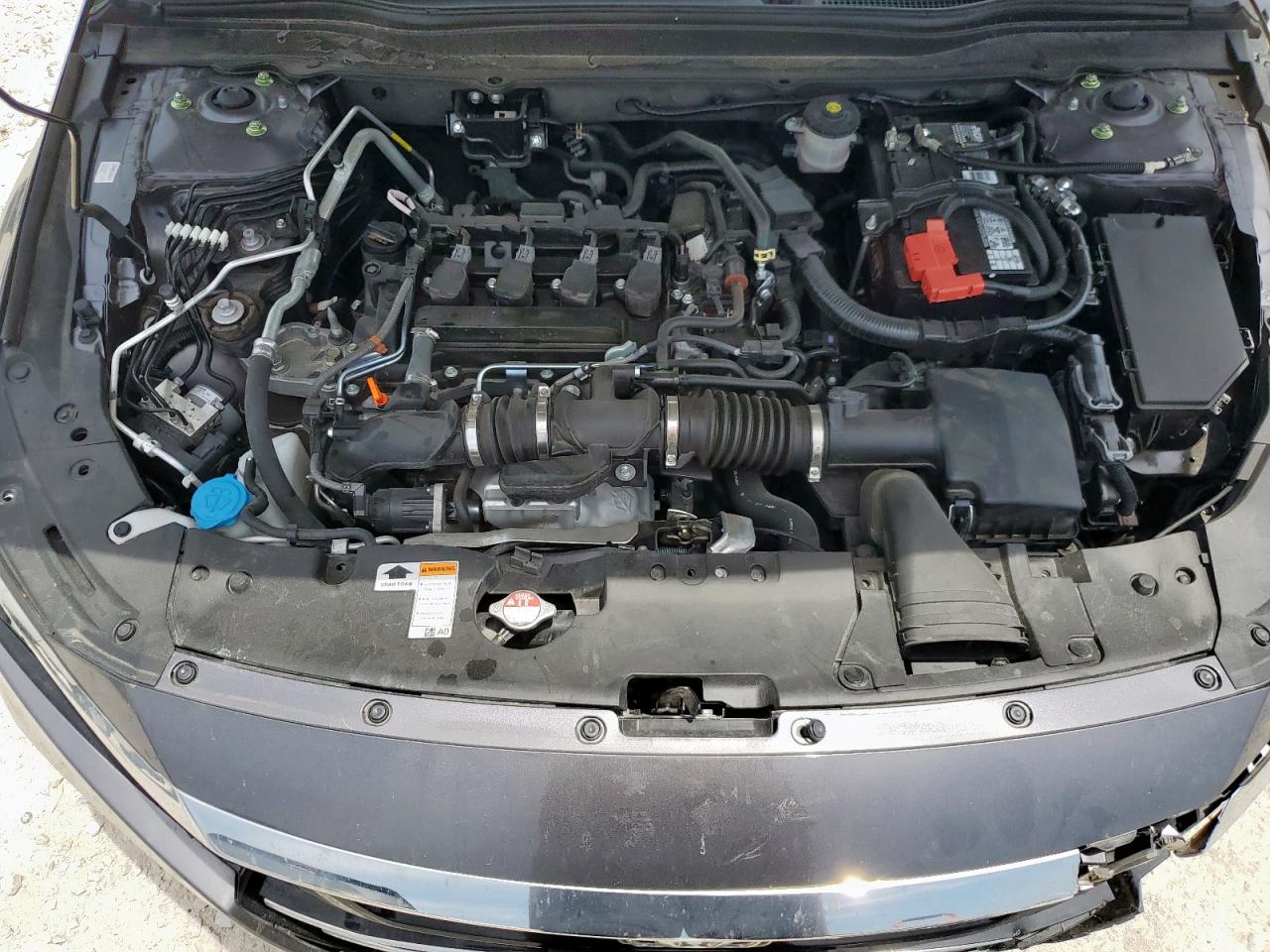 2021 Honda Accord Lx VIN: 1HGCV1F14MA078982 Lot: 56529405