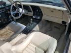 1979 Chevrolet Corvette en Venta en Glassboro, NJ - Minor Dent/Scratches