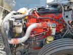 2024 International Lt625 Semi Truck للبيع في Wilmer، TX - Side