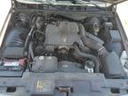 2003 Ford Crown Victoria Lx zu verkaufen in Lebanon, TN - Side