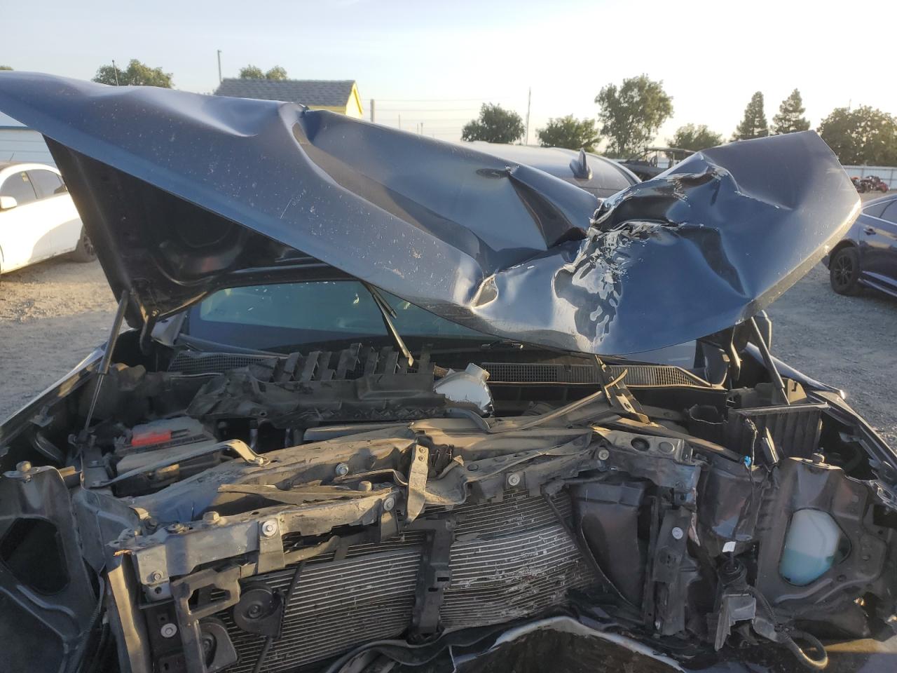 VIN: 1GCPYCEFXMZ449242 2021 CHEVROLET ALL Models