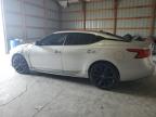 2016 Nissan Maxima 3.5S იყიდება Lawrenceburg-ში, KY - Hail