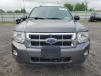2011 Ford Escape Xlt за продажба в Leroy, NY - Rear End