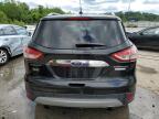 2015 Ford Escape Titanium for Sale in Louisville, KY - Hail