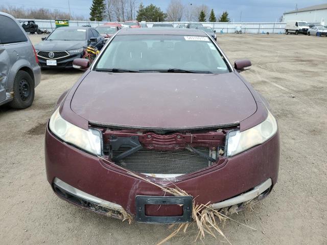2009 ACURA TL 