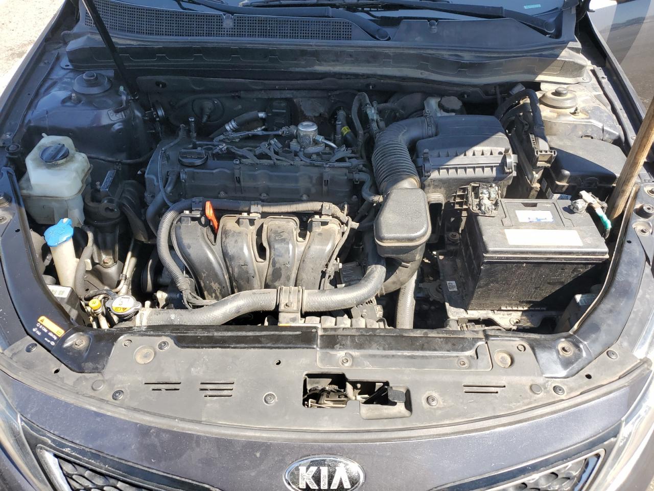 2015 Kia Optima Lx VIN: KNAGM4A77F5629558 Lot: 55863825
