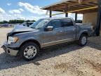 2009 Ford F150 Supercrew en Venta en Tanner, AL - Front End