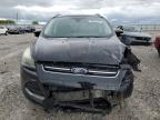 2016 Ford Escape Titanium   for Sale in Lawrenceburg, KY - Front End